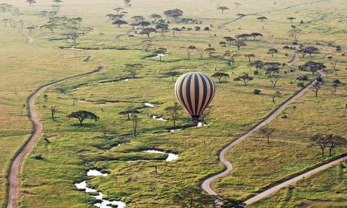 Floating along the Serengeti Floating along the Serengeti
