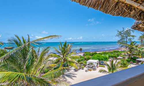 Medina-Palms-1626-_GMP6034_1500_72