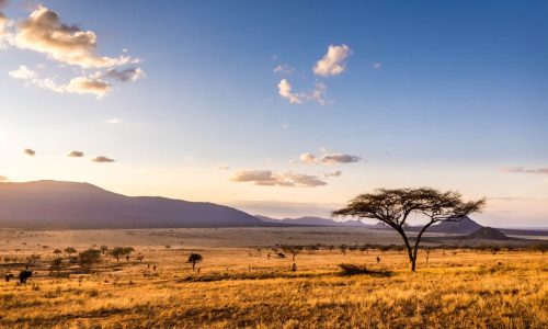 eastafricasafari4 eastafricasafari4