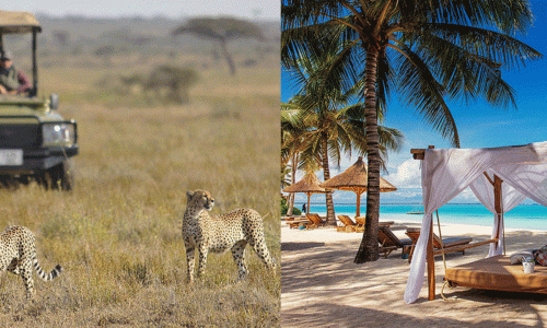 safari AND BEACH EXPERIENCE 2 safari AND BEACH EXPERIENCE 2